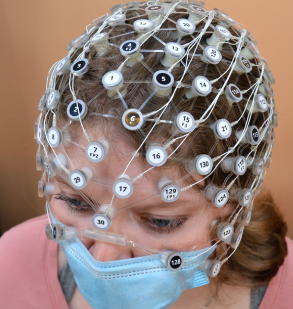 Geodesic Head Web — BEL Brain Electrophysiology Lab